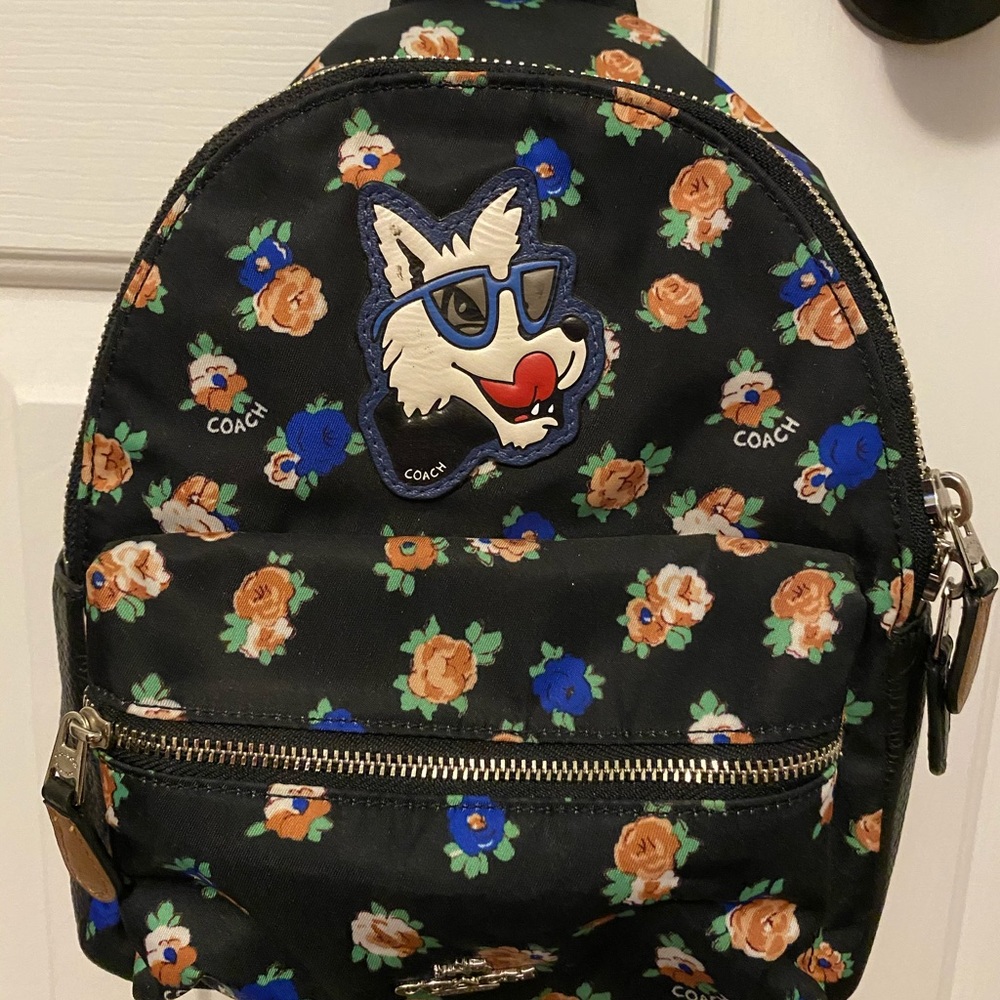 Coach dog backpack